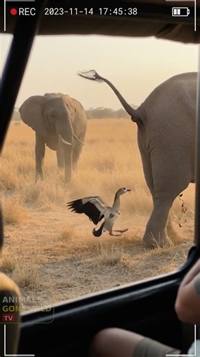 Dont Hang Around A-holes