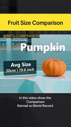 INFO COMPARISON⚡️ on TikTok