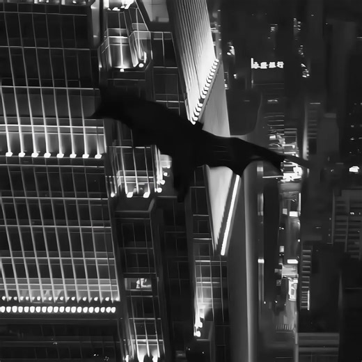 Batman Inspired Tangled Ever After Design