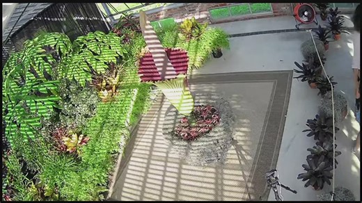 Shangri La Botanical Gardens in Orange extends hours as corpse flower begins blooming