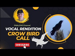 Vocal Rendition Crow Bird Call