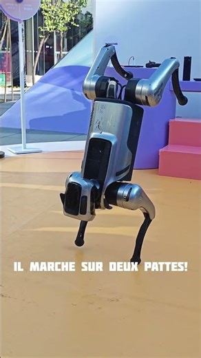 ROBOT chien CHINOIS! #chine #robot #china #dog 🐶