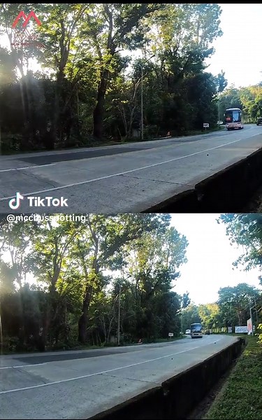 Exploring GV Florida Transport's Deluxe Bus Lineup