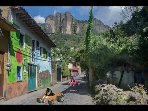 Flip flop flap from safari kart