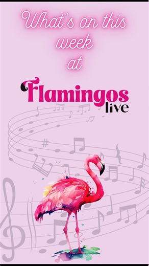 🦩🌟 𝐖𝐇𝐀𝐓'𝐒 𝐎𝐍 𝐓𝐇𝐈𝐒 𝐖𝐄𝐄𝐊 𝐚𝐭 𝐅𝐋𝐀𝐌𝐈𝐍𝐆𝐎𝐒 𝐋𝐈𝐕𝐄?🦩🌟 24 - 30 NOV 🌟 PAUL KELLY vs NEIL FINN TRIBUTE | FRI 28 NOV - https://flamingos.live/show/paul-kelly-vs-neil-finn-crowded-house-tribute/ 🌟 BIG DAY SHOUT | SAT 29 NOV - https://flamingos.live/show/big-day-shout/ 🦩 𝐁𝐎𝐎𝐊 𝐍𝐎𝐖! 𝐈𝐍𝐂𝐑𝐄𝐃𝐈𝐁𝐋𝐄 𝐄𝐍𝐓𝐄𝐑𝐓𝐀𝐈𝐍𝐌𝐄𝐍𝐓 𝐀𝐖𝐀𝐈𝐓𝐒 𝐘𝐎𝐔! 🦩 | Flamingos Live