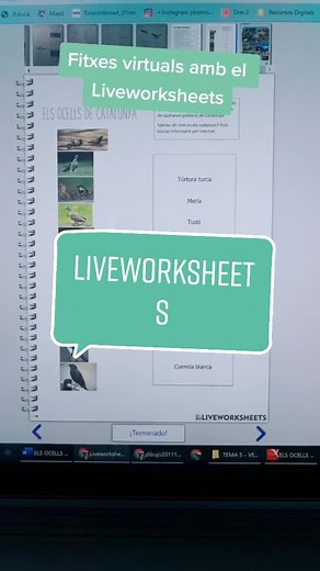 #liveworksheets #teacher #profe #biologist #tiktokcatalunya #eso #biologia #cienciesnaturals