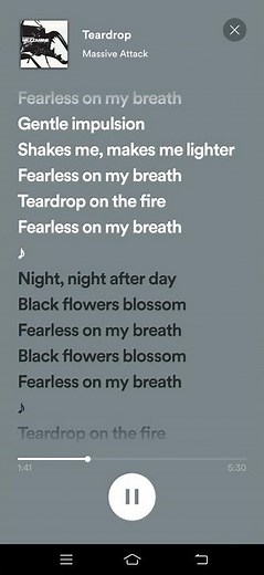 Teardrop Lyrics - Massive Attack