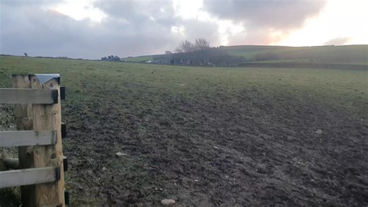 The last 5 horses go into the new field. 7 month old Merlin joins the main herd next to 28 year old Charlie horse. | Brendon Manor Stables