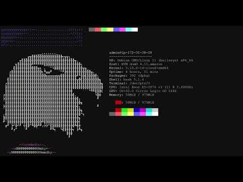 NEOFETCH - ALL DISTROS COMPILATION