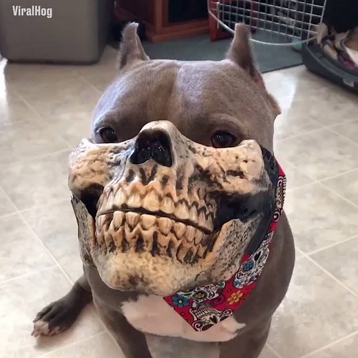 Terrifying. | LADbible