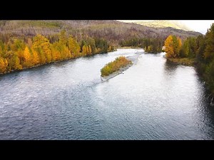 Alaska's Kenai River Salmon Run Drone Footage, with Underwater Salmon Action!