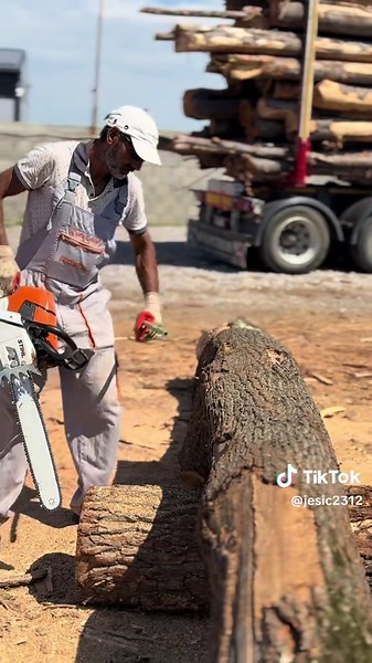 Sremcica: Priroda i Mesto za Opuštanje