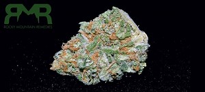 Maui | Marijuana Strain Reviews