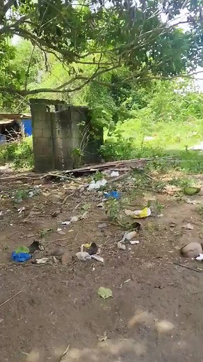 Today July 31-2025 site viewing w/my client @ San Pablo City Laguna #resorts #campingsite #lakeview FULL DETAILS 👇 ✔️ My Cp# 09287492752 viber ✔️ Good for business resort 🏝️🏖️ ✔️ Mt.Banahaw view ✔️ Farm Lot for sale ✔️ 2 Lote ✔️ Lot 1 title 2 hectares or (20,680sqm) ✔️ ₱900 per sqm=₱18.6M ✔️ Lot 2 Taxdec 1.5 hectare or ( 15,000 sqm)lake side ✔️ ₱ 350 per sqm=₱5.250M ✔️ Along Brgy road ✔️ Magandang edevelop for business ✔️ Ideal gawing resort,campsite & sir bnb ✔️ Fruit bearing ✔️ Mountain vie