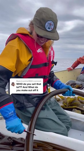 Kelp Pickle Process: Sharing Homemade Delights with Friends and Family