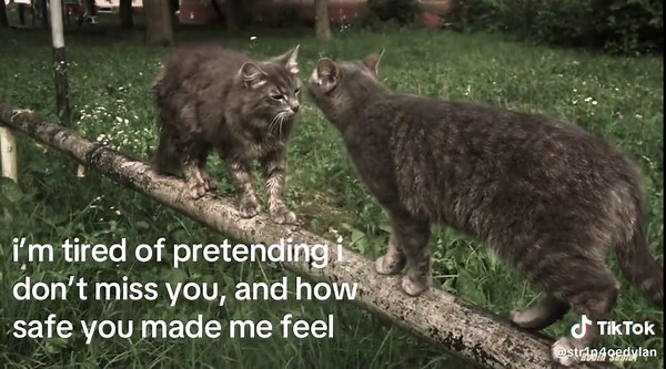 I Miss You: Emotions of Longing and Safety