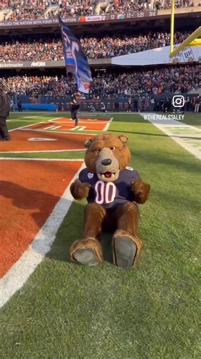 Chicago Bears Staley Da Bear @therealstaley tough decision! 🐻⬇️ | Chicago Bears Fan 4 Ever