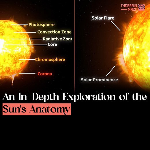 How well do you know our Sun? This video provides a detailed look at its intricate structure, revealing the secrets of its core, radiative zone, convective zone, and outer layers. Watch as we unravel the mysteries of the Sun’s anatomy and how it fuels our solar system. | The Brain Maze