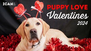 Pet Pals TV: Delivering special Valentine's from pups