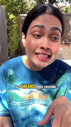 Indian Explains Zebra Crossing to American 🇺🇸