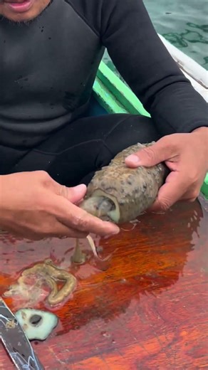 Cleaning & Cutting Sea Cucumber for Cooking | Catch and Cook