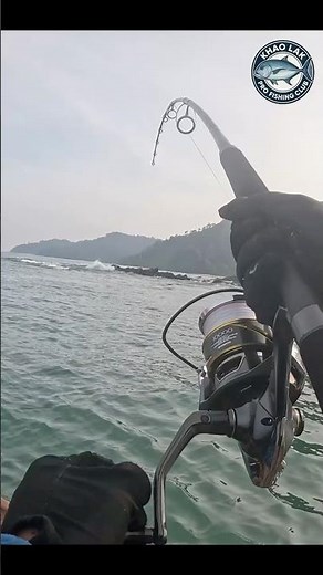 Giant Trevally Explodes on Popper Near Rocky Shore in Thailand! #fishing #thailandfishing