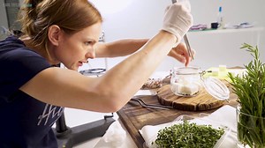 12K views | From Preparation tips through to styling secrets and lighting techniques. Learn from the experts and see how a variety of food photography shoots are achieved from start to finish. | Visual Education | Facebook