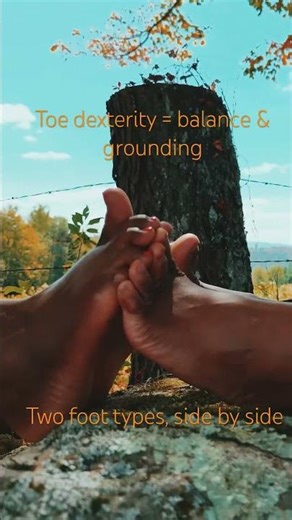 Fall Comparison & Toe Dexterity