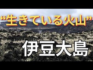 “生きている火山”伊豆大島を歩く｜1986年噴火の跡と今の三原山