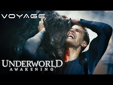Underworld Awakening | Fighting The Giant Lycan ft. Theo James | Voyage