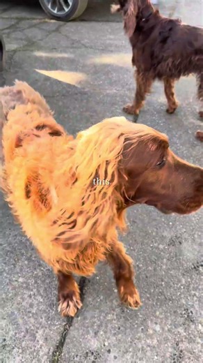 Salem is the Most Oregon Part of Oregon!