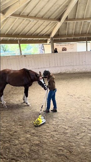 Monty's Special Training Day 1!