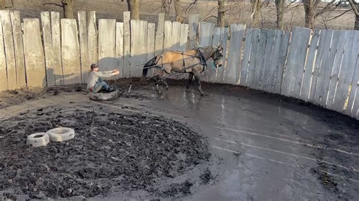Zeb is about finished on his intro to driving! If you’d like your horse to be started on driving, please let us know! This is the goal with any young horse after 30 days if they are not going home to a cart, buggy or driving implement. Now an owner can grade their round pen, driveway, or arena using their own horse and a simple drag they can make at home. | MLP Equine