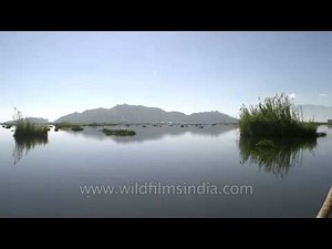Manipur's Loktak Lake