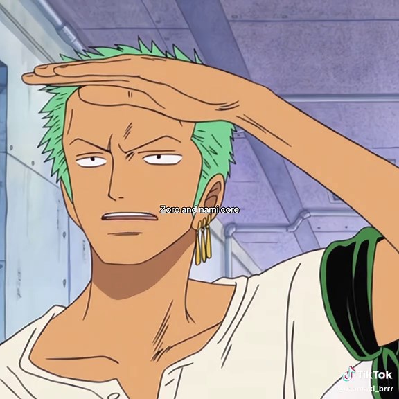 Zoro and Nami Moments in One Piece