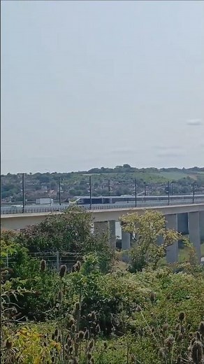 The UK's Fastest Raileay Bridge | The Medway Viaduct #ob #railway #train #trainspotting #railway200