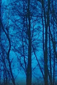 Desastres naturales - Movie