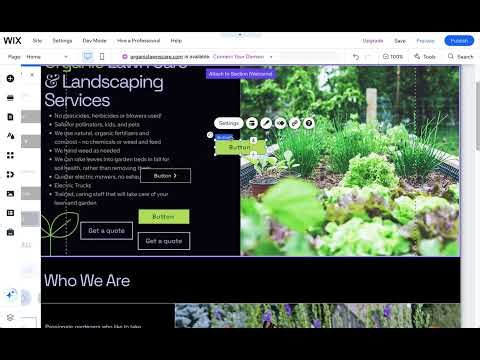 Customizing Wix Buttons