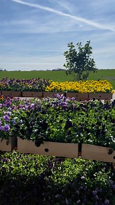 Välkomna välkomna! #vårmarknadpåeklaholm | Karl Fredrik på Eklaholm