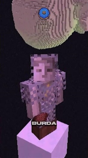 End'de bana TPA atmalarını istedim! #minecraft #donutsmp