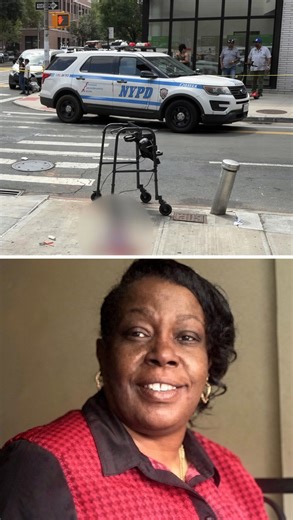 Grandmother shot dead after tense police encounter