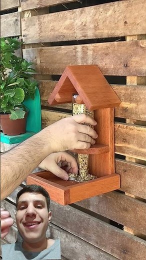 Automatic Bird Feeder. Amazing Design. #woodworking