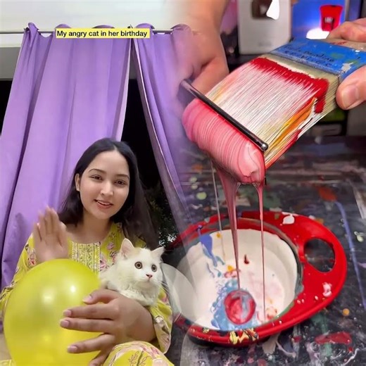 My angry cat in her birthday 😂 #shorts #viral #explorepagenew