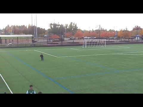 Portland Community College vs Chemeketa Community College Mens Other Soccer