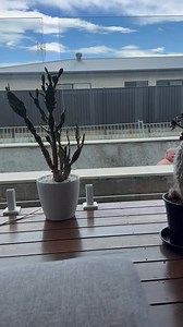 Almost there hahaha 😝 | Stephen Mills