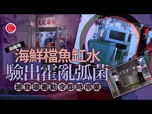 有線新聞 晚間新聞｜油麻地「友記海鮮」魚缸水驗出霍亂弧菌 食環署令即時封舖直至危害消除｜逸東酒店對開爆地下鹹水管 彌敦道往尖沙咀封閉部份行車線｜即時新聞｜HOY TV NEWS｜ 20250612