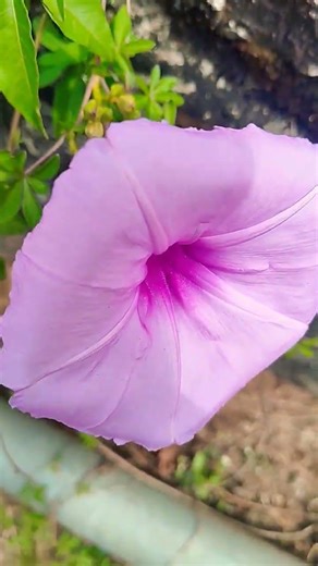 💐💐💐💐💐 #music #love