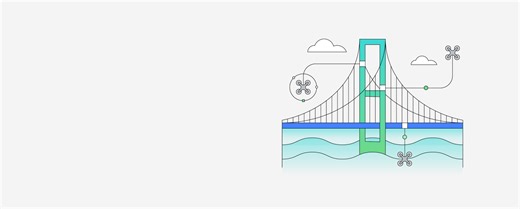 Maximo Asset Inspection - IBM Maximo Application Suite