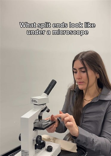 What hair looks like under a microscope 🔬 #splitend #hair #stoveiron #microscope #cosmetology #cosmetologist #beautyschool #hairvideos