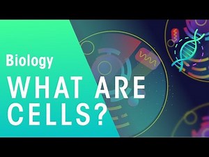 What is a cell? Video Lecture | Biology for ACT